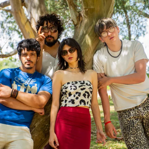 Los 4 integrantes de la banda en un paisaje campestre
