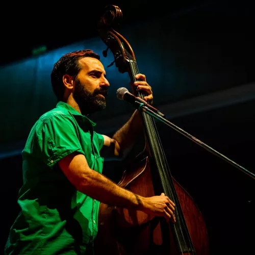 Contrabajo y voz