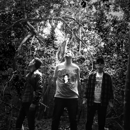 Foto del grupo de frente, en un bosque, en blanco y negro
