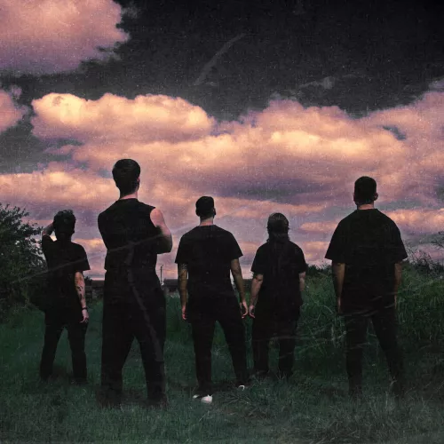 Foto de los 5 integrantes de la banda desde atrás, admirando el cielo nublado de un atardecer en un descampado.