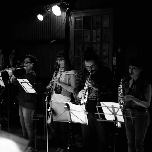 Orquesta Inorgánica Orquesta Inorgánica