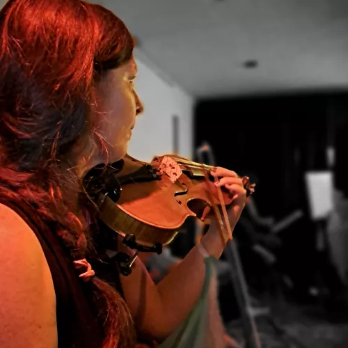 musica violinista