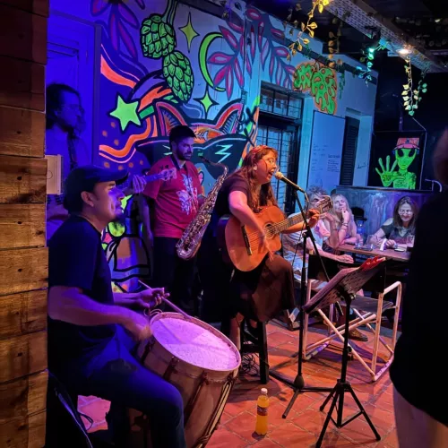 Tamara Orellana y la aplanadora del folclore 