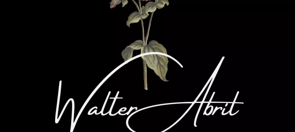 Walter Abril - Otra Noche sin tí (Ecuador)