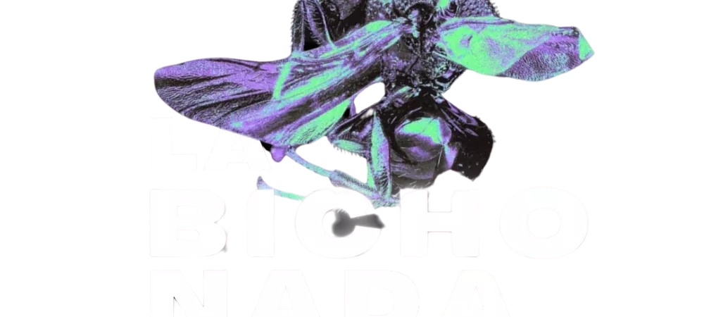 La Bichonada