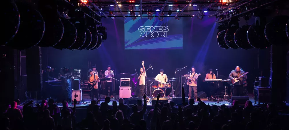 Imagen de show en vivo