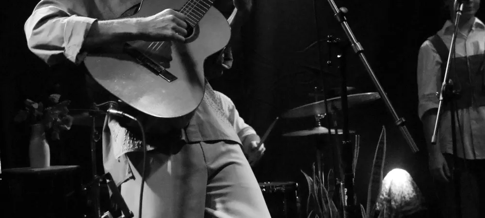 Javier Salum en guitarra y voz