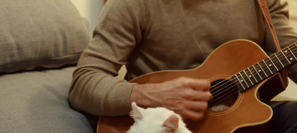 foto plano americano en sillón con gato sosteniendo guitarra electro-acústica.