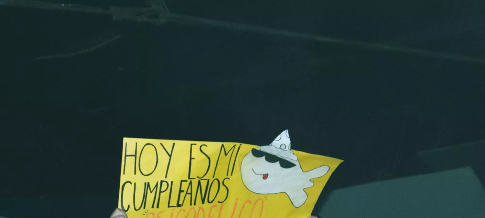 Fan cumpleañero en un concierto de la banda, 2024