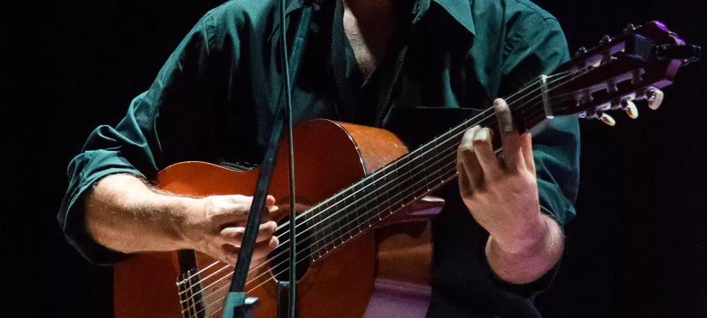 Maximiliano Ftulis (guitarrista)