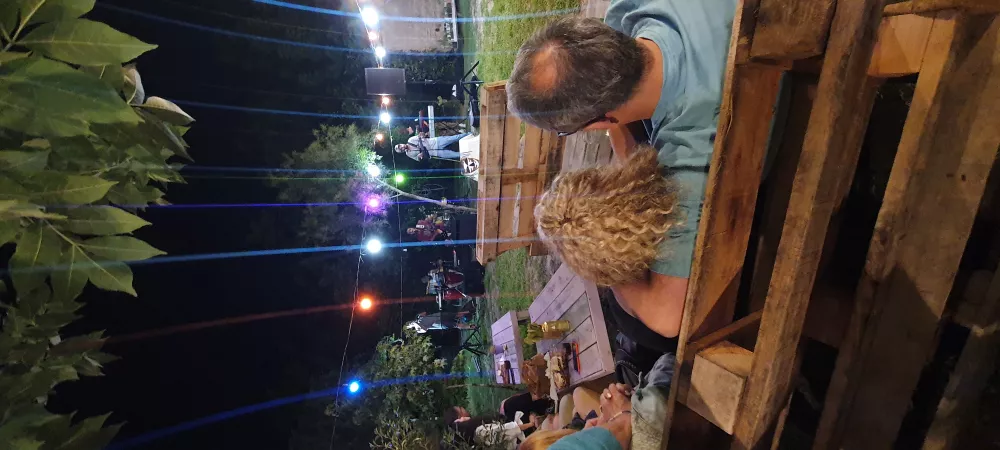 Carnaval de picaflores