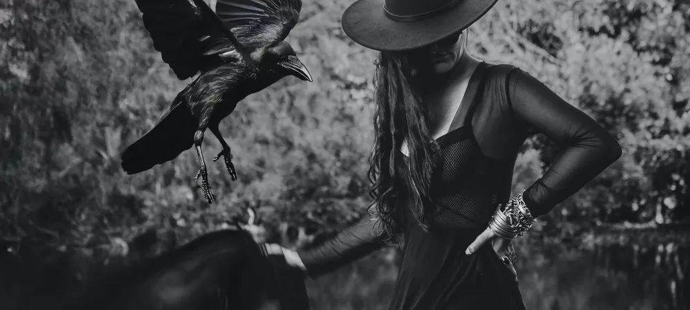 Contratapa disco PURGA