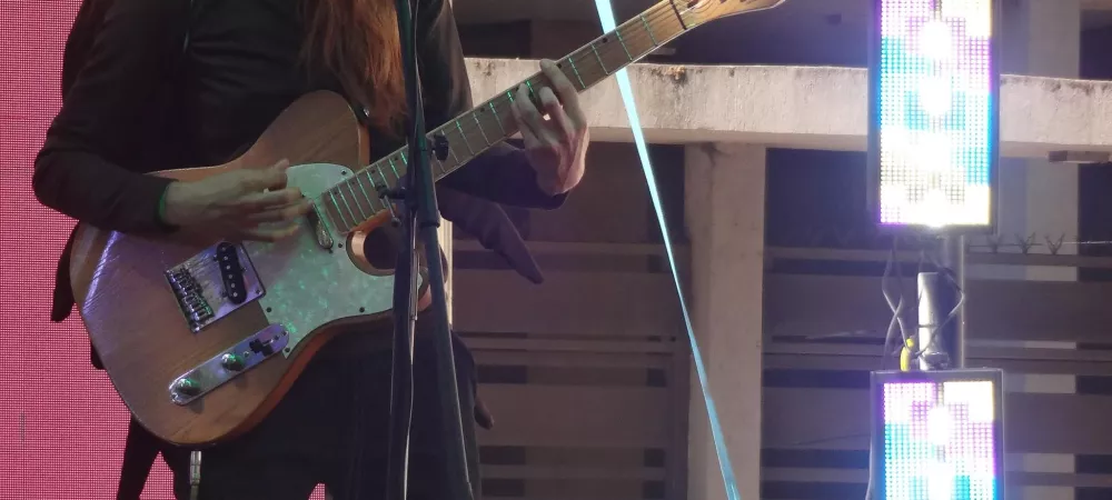 Guitarrista disfrazada de cucaracha